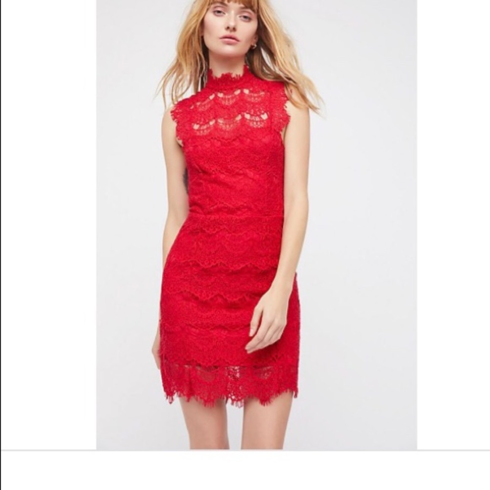 Free People Daydream bodycon lace dress